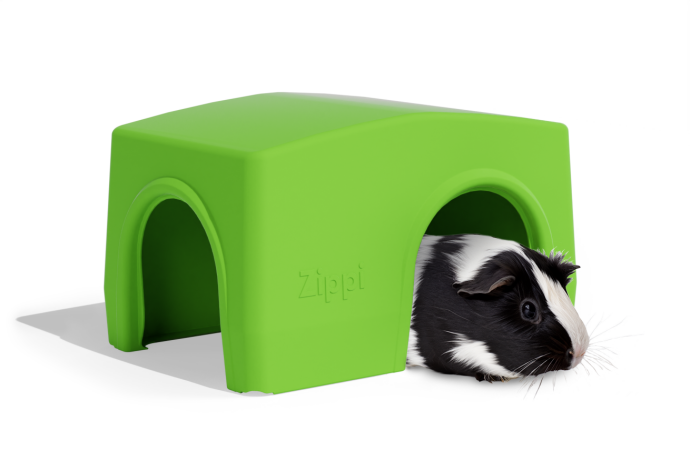 Guinea pipg shelter