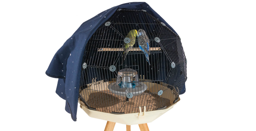 Bird cages and cage accessories | Omlet