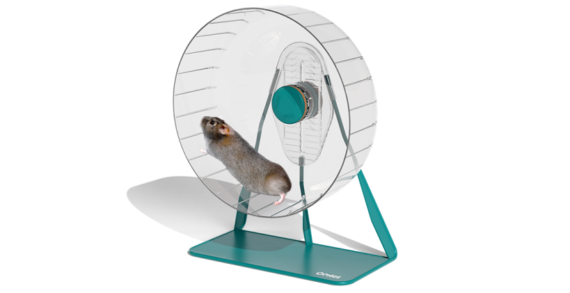 Quiet hamster wheel by Omlet