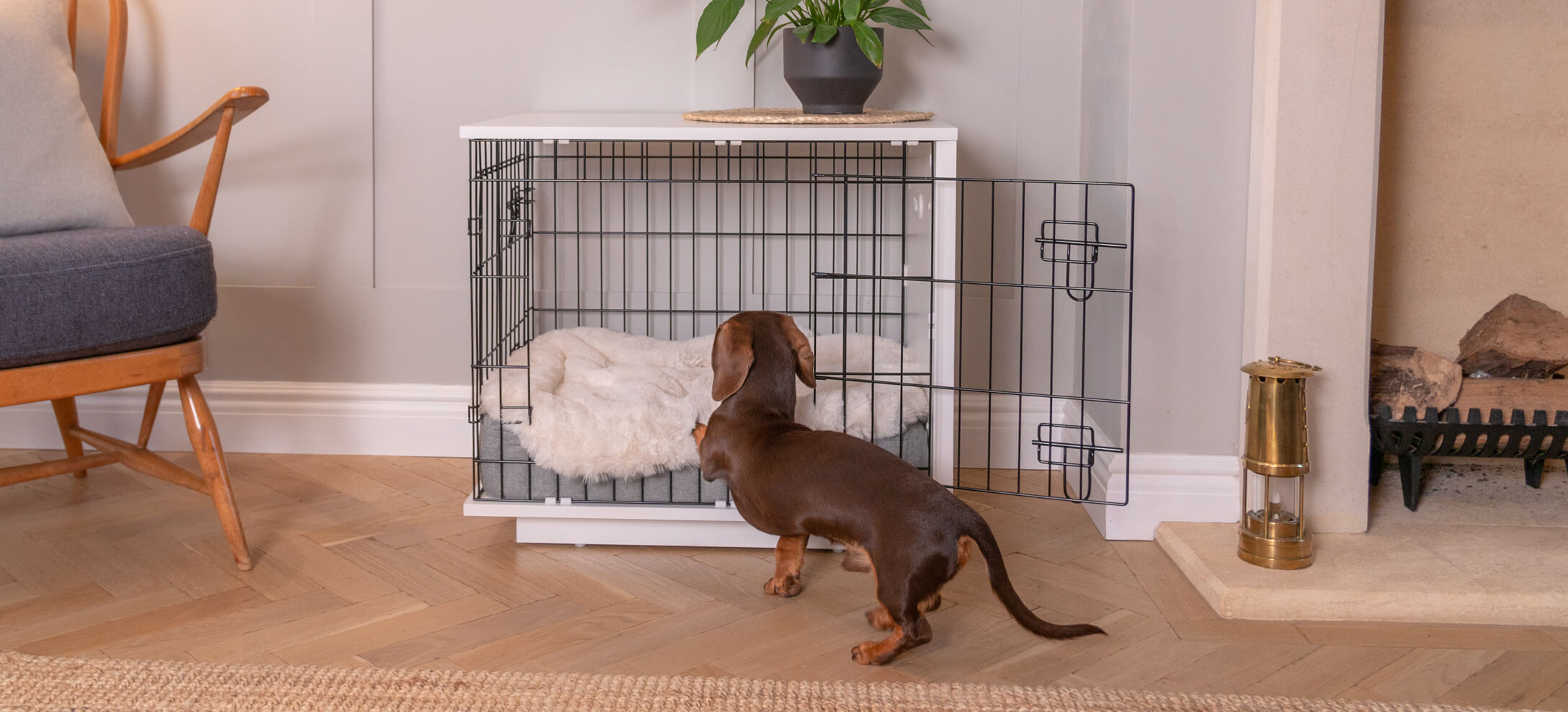 Fido Studio 36 Dog Crate - Walnut