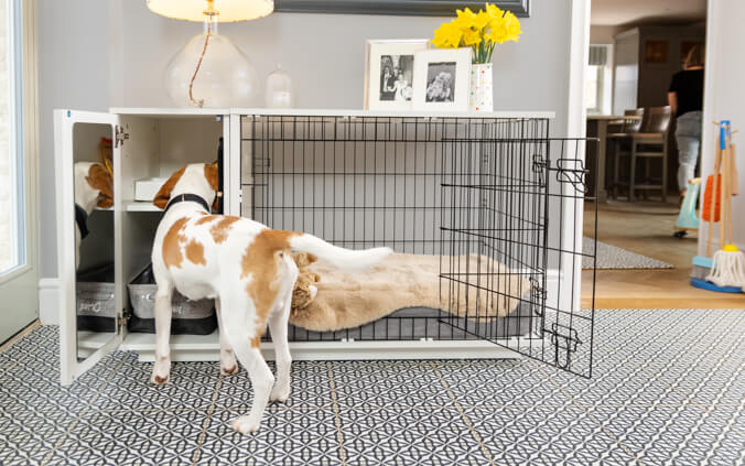 https://www.omlet.us/images/catalog/2022/07/04/dog-crate-furniture-with-wardrobe-to-storage-dog-toys-treats.jpg