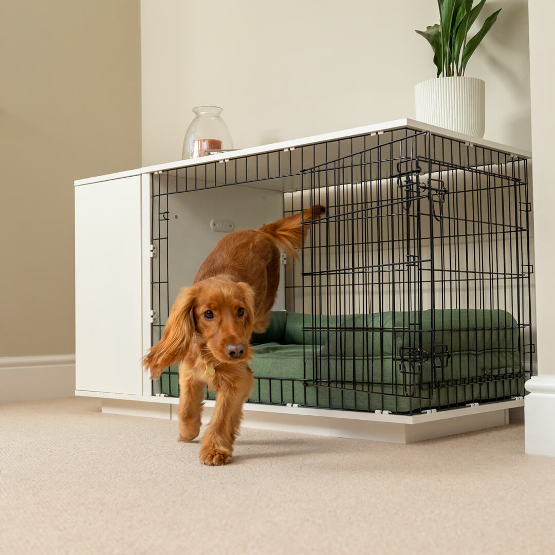 Fido Studio 36 Dog Crate - Walnut