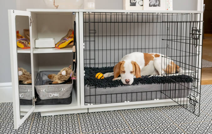 Setting Up Your Dog's Crate for Comfort & Safety