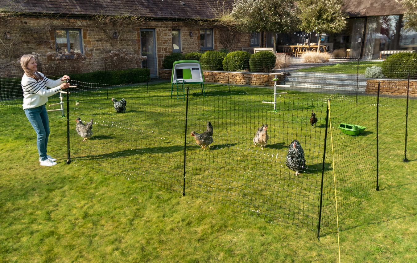 Movable Chicken Net, Temporary Chicken Fencing - Good Price