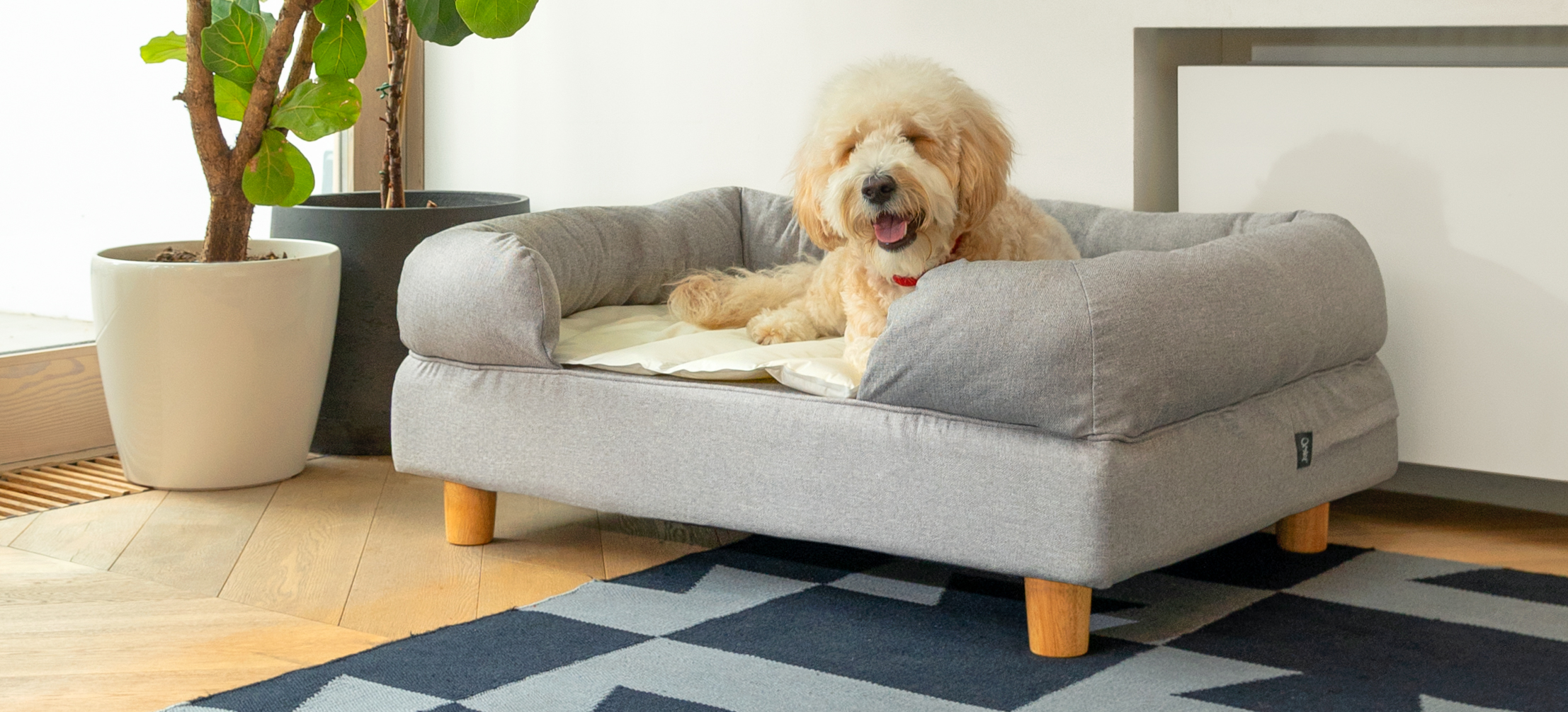 Cooling memory foam dog bed best sale