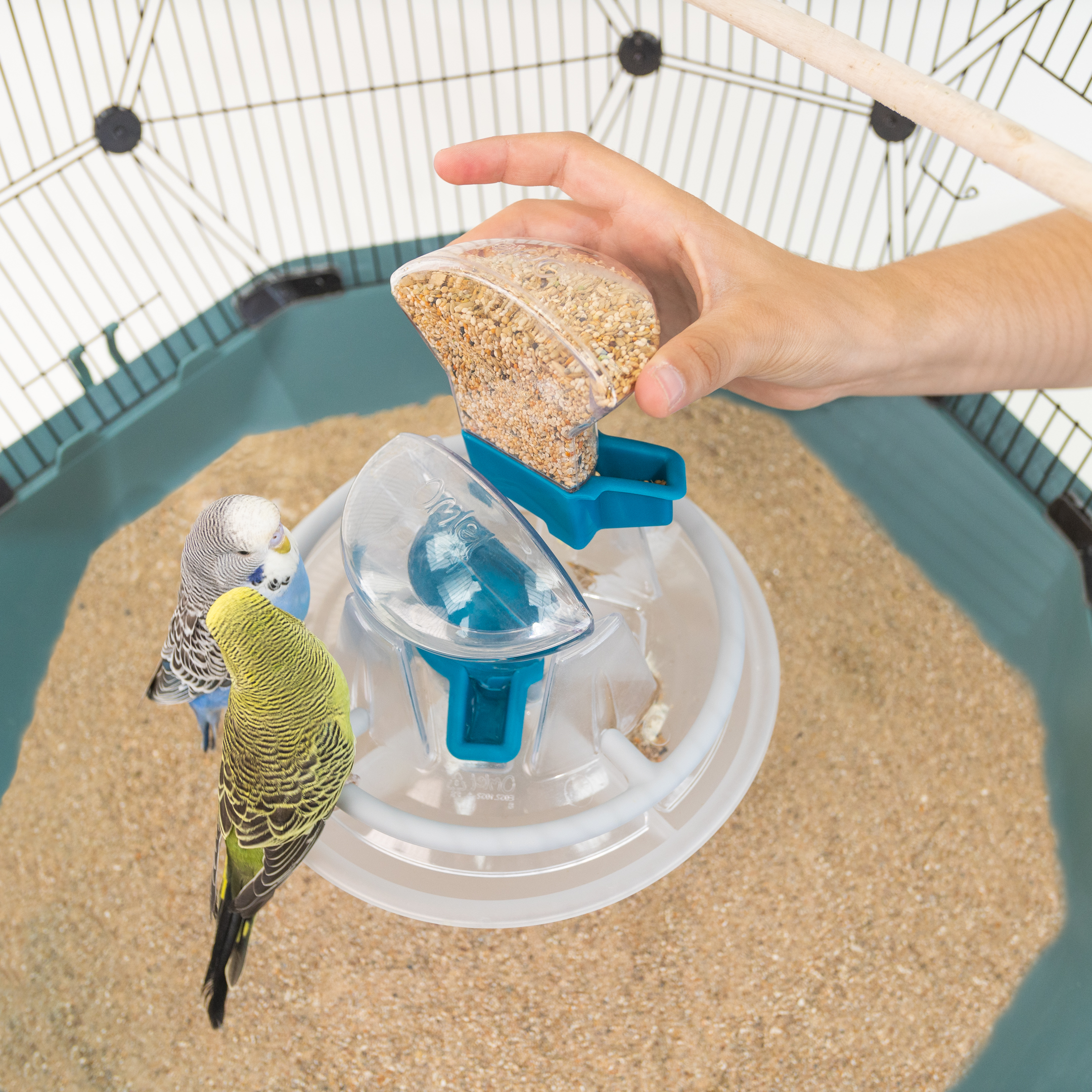 Bird cage 2025 feeders and waterers