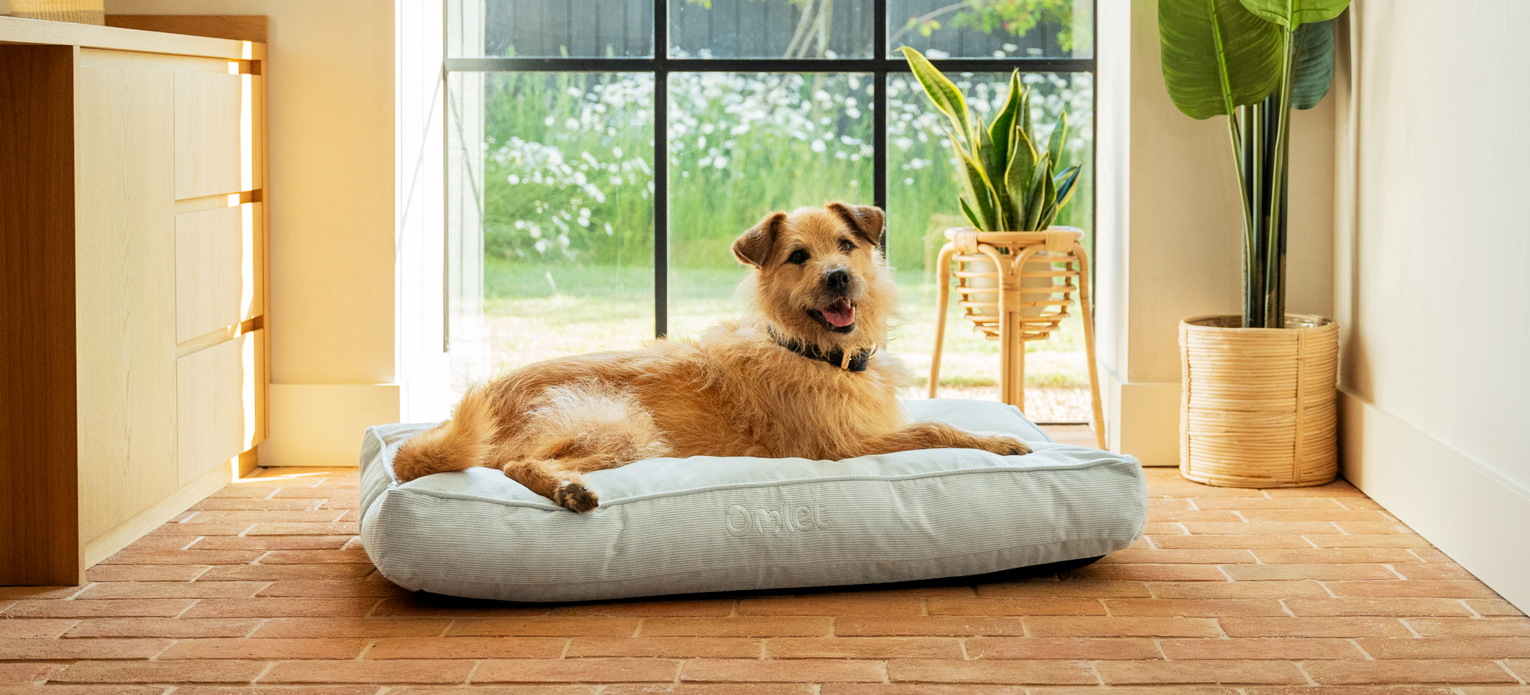 How to clean dog bed cushion best sale