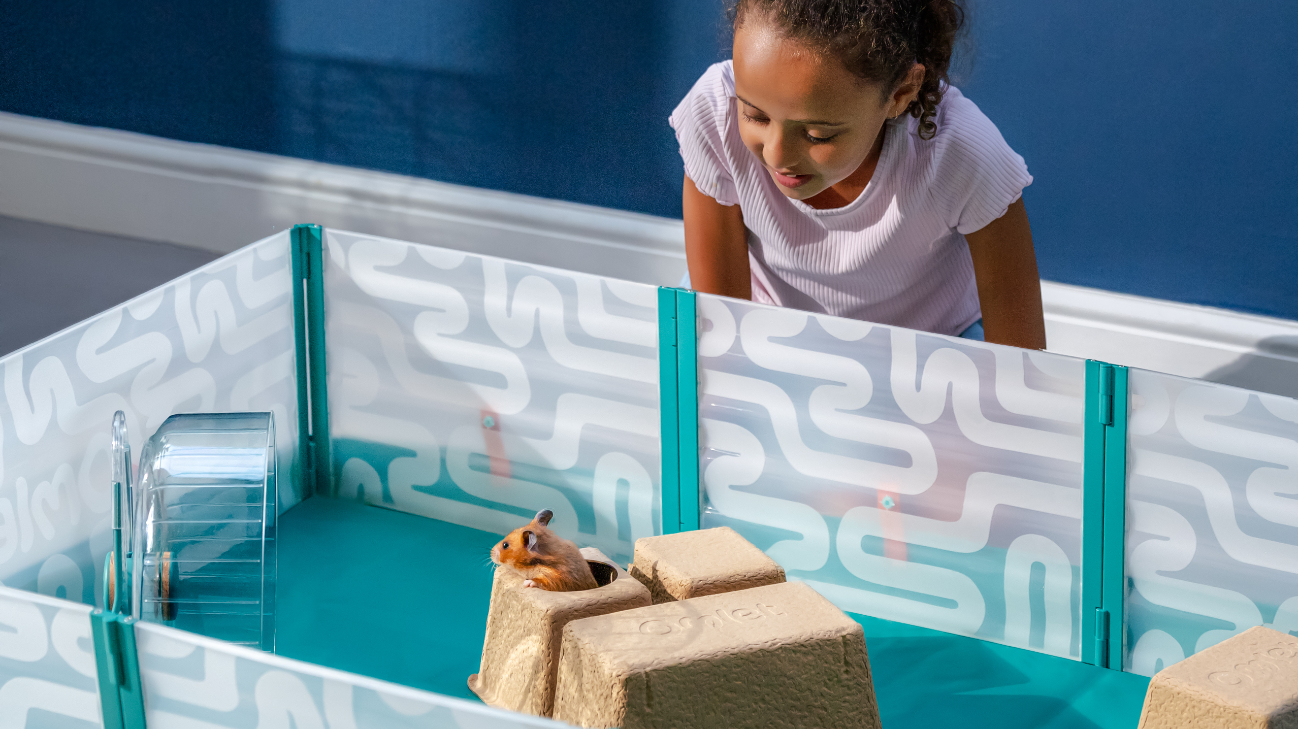 Girl peering over hamster playpen with her pet hamster inside