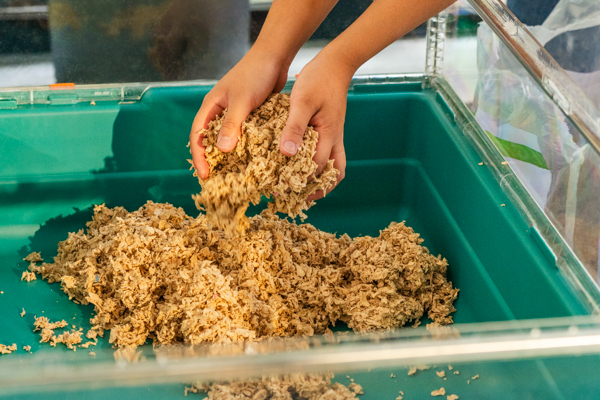 Child replacing the bedding in their Omlet Hamster Habitat