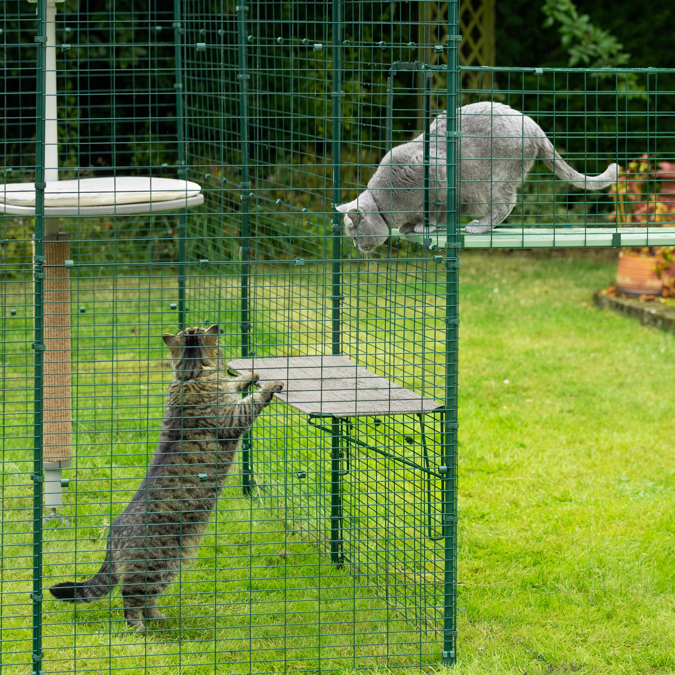 Outdoor Cat Shelf Omlet