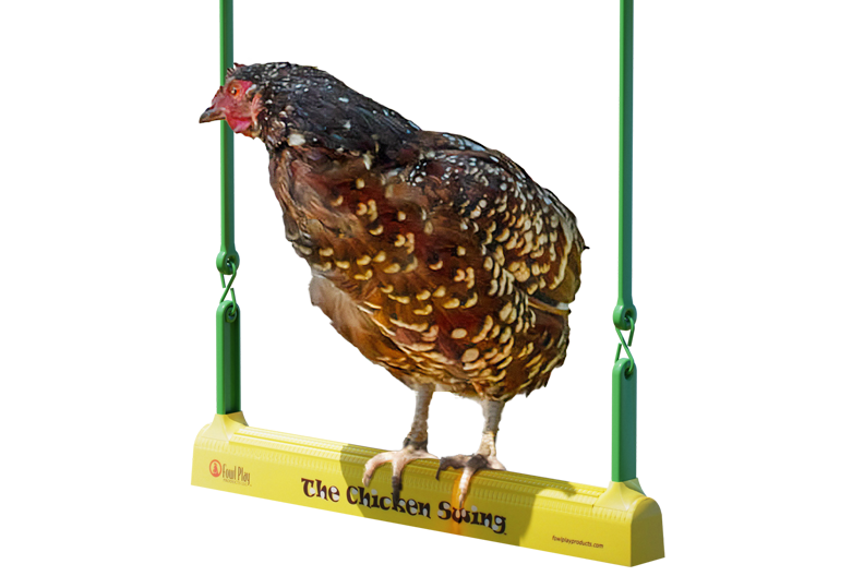 The chicken swing