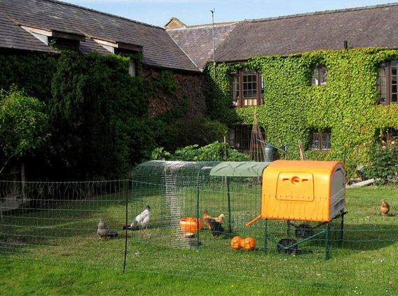 Eglu Cube Chicken Coop | Chicken Keeping | Omlet