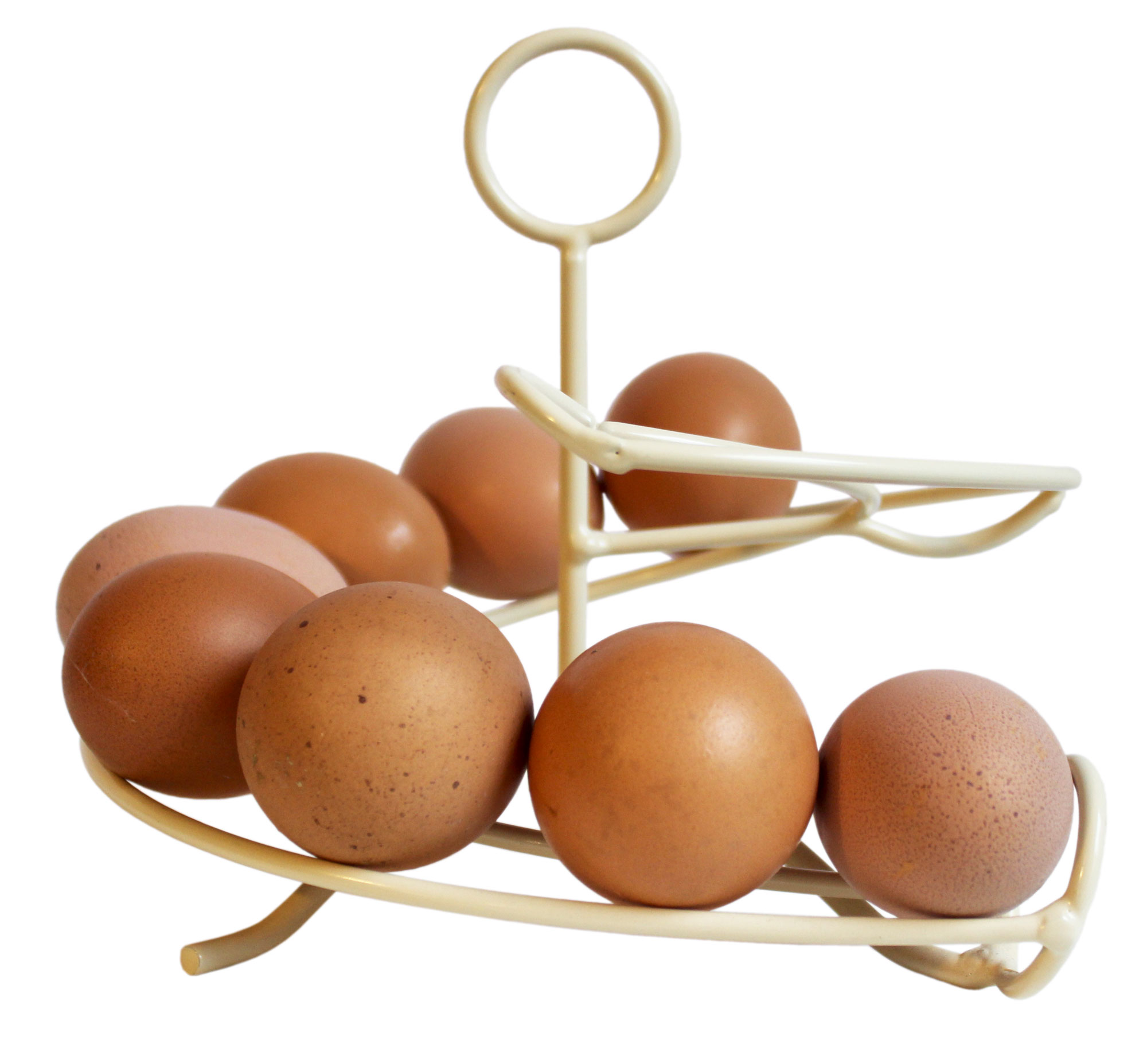 Egg Skelter - store up to 24 eggs 