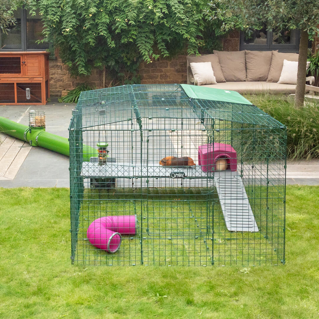 Omlet guinea pig hutch best sale