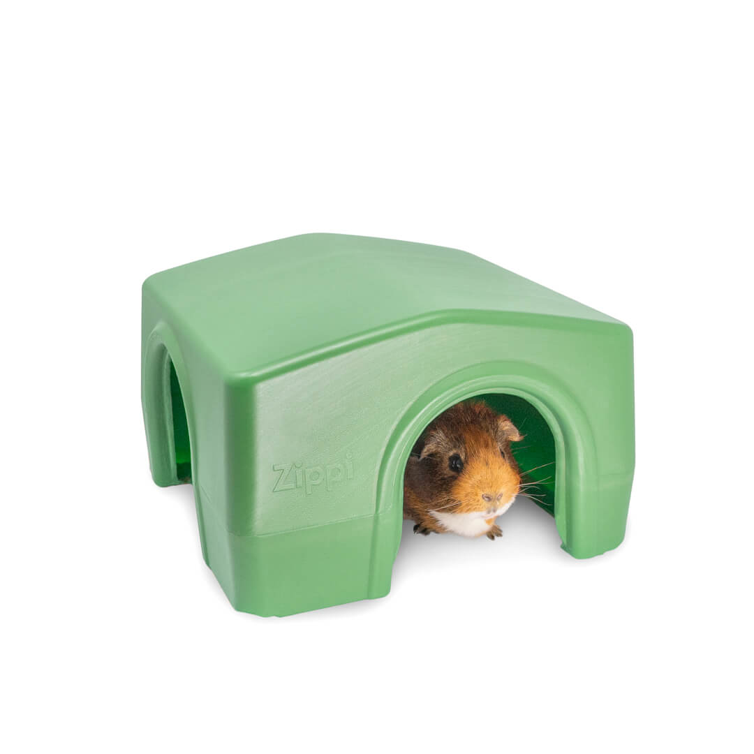 Cheap guinea sale pig accessories