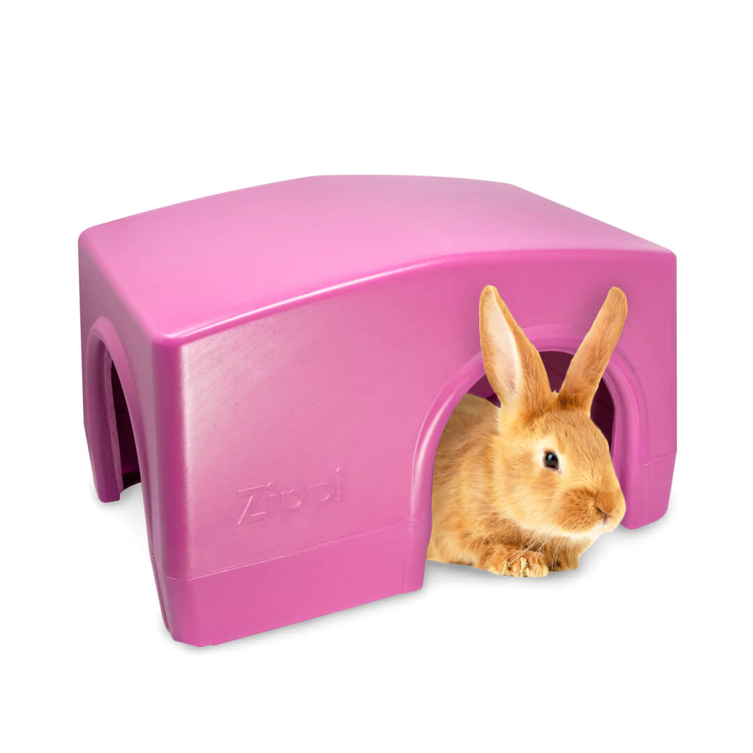 https://www.omlet.us/images/originals/Rabbit_Zippi_Shelters_Purple_P1255839_Square.jpg