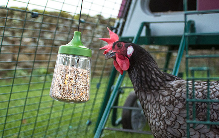 Chicken treat clearance dispenser