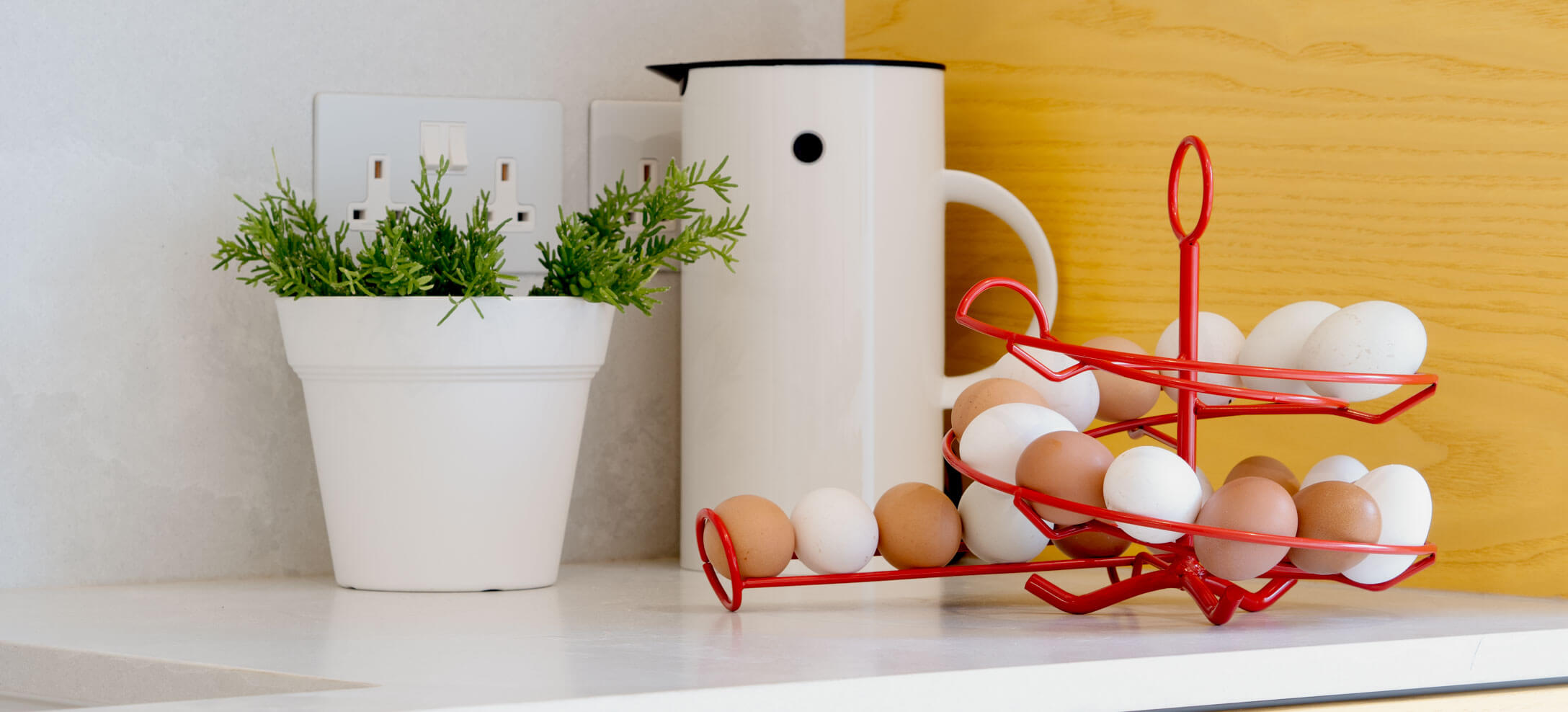 Egg Skelter - store up to 24 eggs 