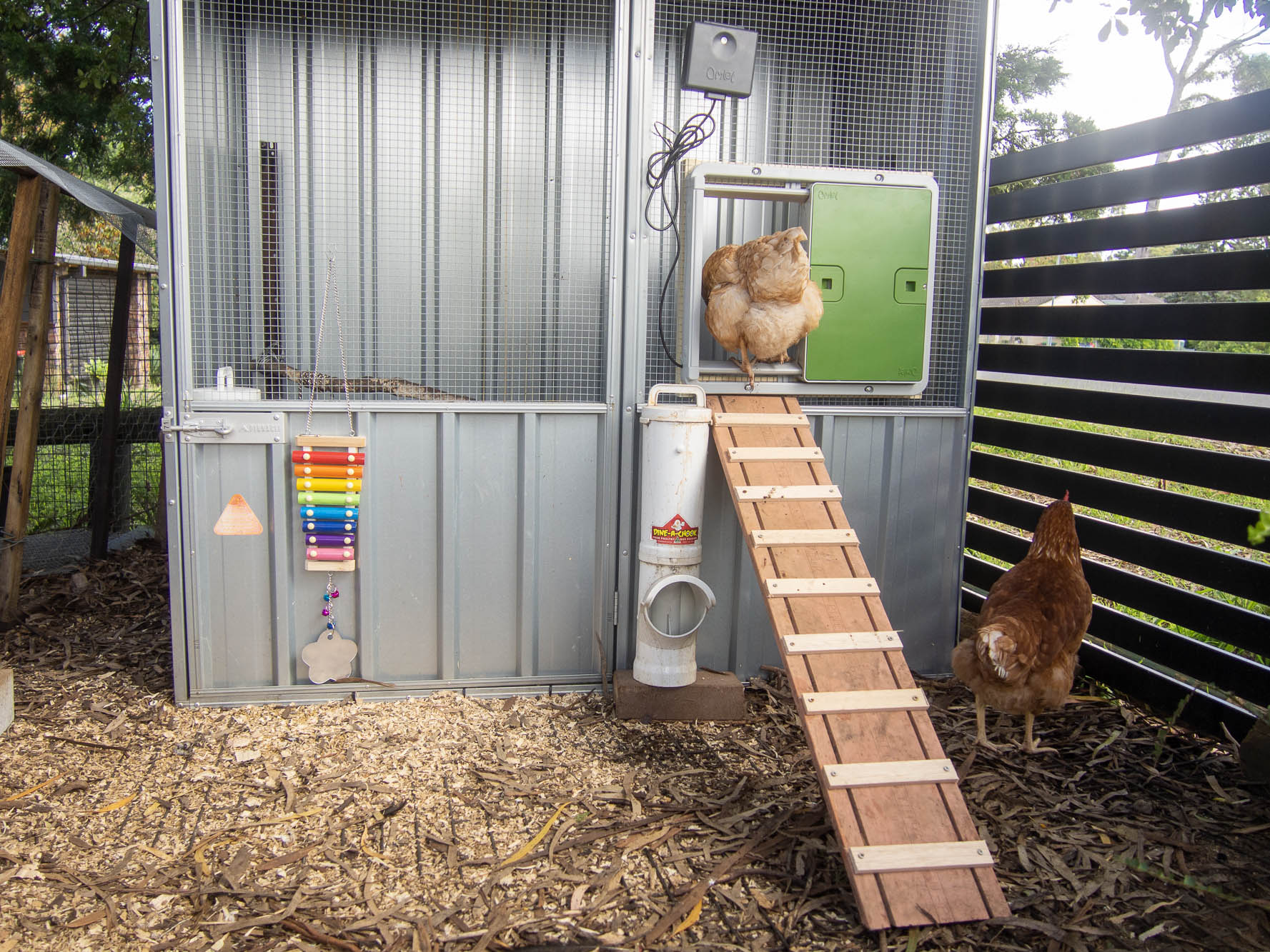 automatic chicken coop door opener project