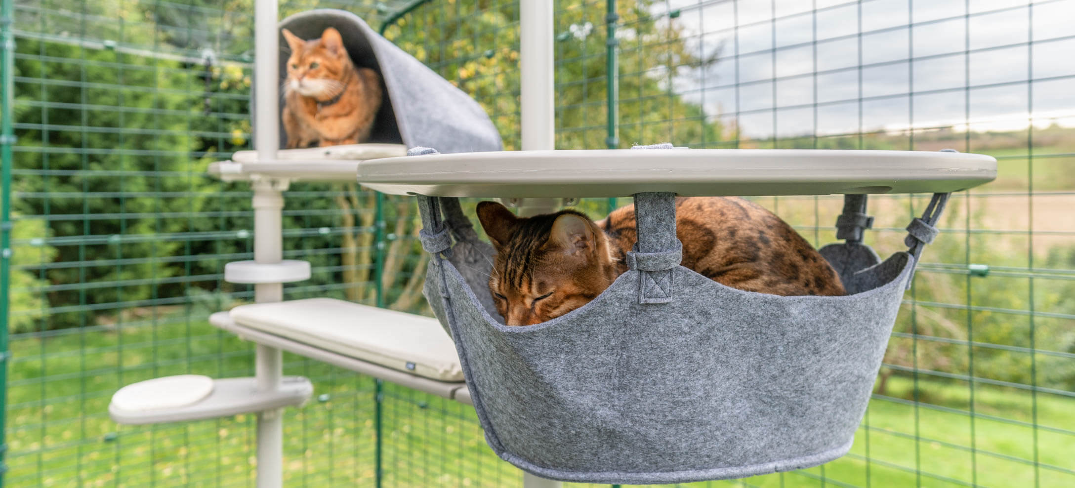 Outdoor cat gym sale