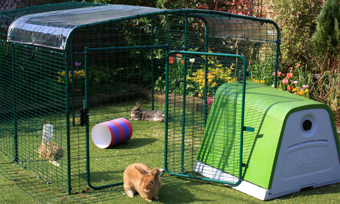 omlet outdoor rabbit run