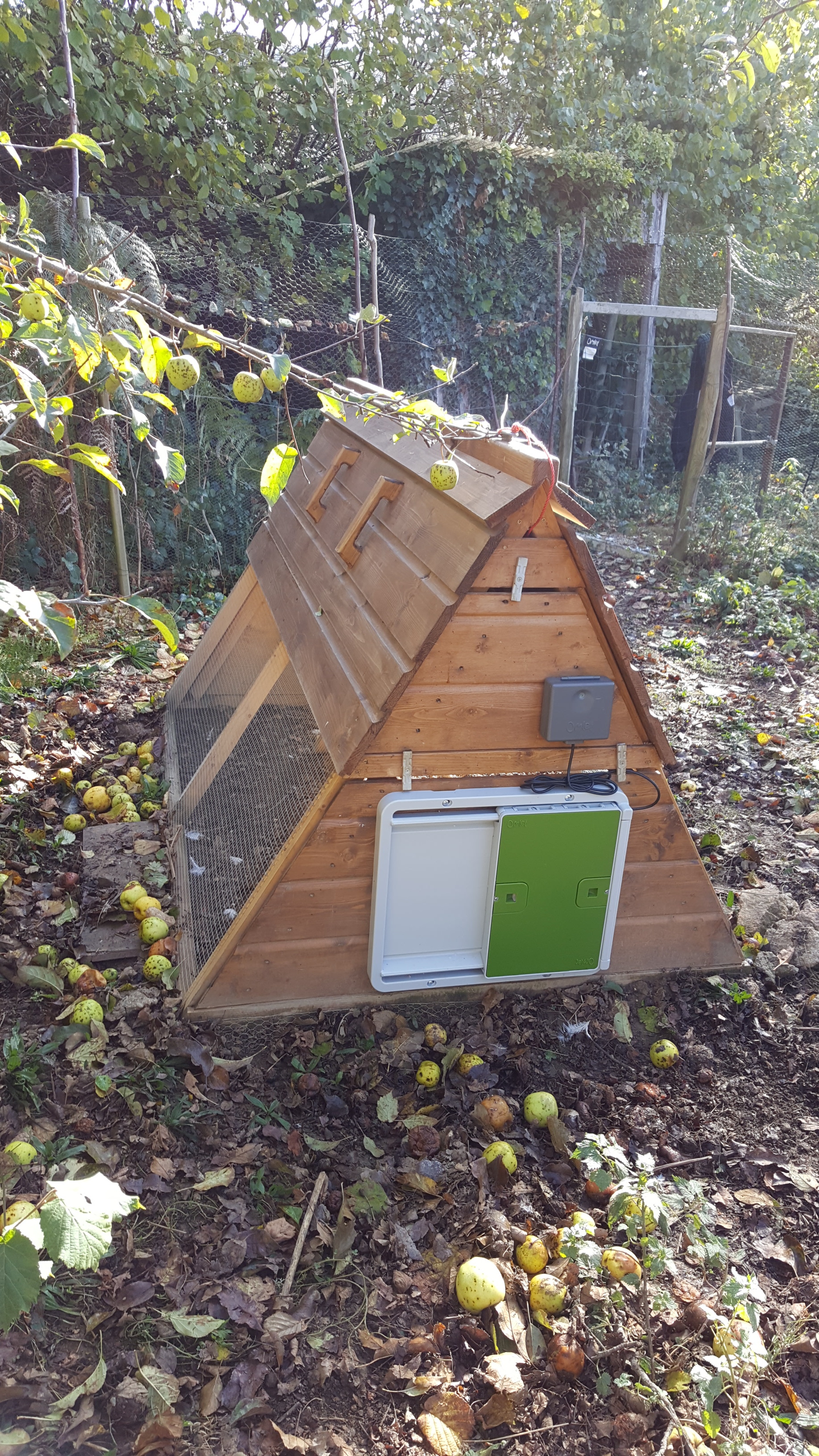 Porte Automatique Poulailler A Pile